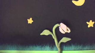 Growing flower StopMotion Animation