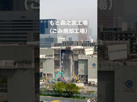 庭で段ボールをどうやって使う？過小評価されない 4 つの賢い使い方  庭園