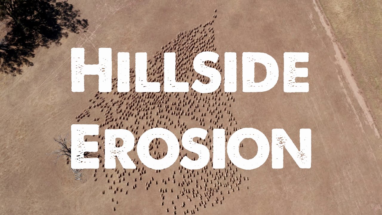 Healthy Hectares - Hillside Erosion