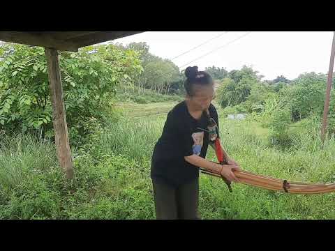 tshuab zaj qeej zwm hleb