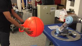 Collaborative Robotics: Dynamic Collision Avoidance