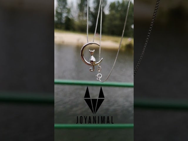 Vídeo relacionado con Vadmans Negro Collar De Plata De Ley Colgante Gato Piedra De La Luna Joyería para Mujeres Cat Lovers Regalos