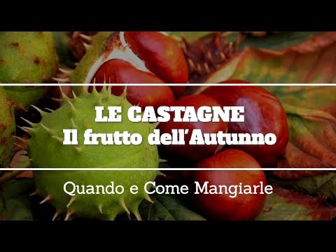 Le Castagne | Il Frutto dell'Autunno