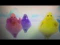 The Boohbahs Circle Their Arms To Steve Burns Dunkin Donuts Commercial
