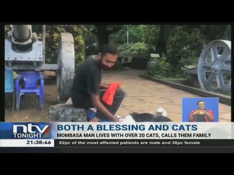 Mombasa man lives with over 20 cats, calls them family