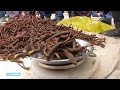 Peperdure lustopwekkende Chinese schimmel steeds schaarser - RTL NIEUWS