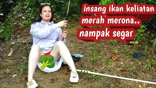 Download lagu Ikan putih nampak fresh akhirnya mau muncul di camera.. π₯π₯π₯ mp3 Download lagu Ikan putih nampak fresh akhirnya mau muncul di camera.. π₯π₯π₯ mp3