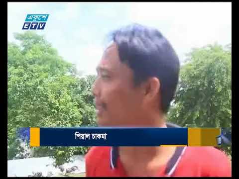 পার্বত্য এলাকায় টার্কি পালনে ব্যাপক সম্ভাবনা
