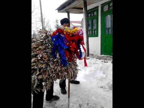 Capra de la izvorul berheciului