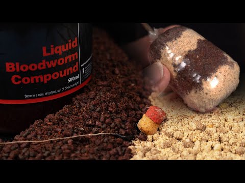 These Solid PVA Bags Are Perfect for Winter! Carp Fishing Insights 💥❄️