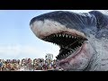 Biggest fish in the world found alive-Top the world