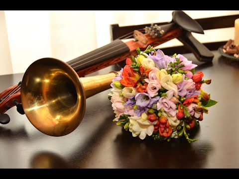 Gabor Mircea & Marcel Şilinca - "Pe Picior" de bihor (vioară cu goarnă) LIVE