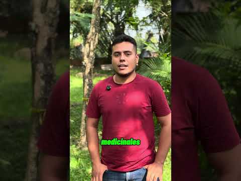 Yondó conmemora el Día Mundial de la Vida Silvestre y reafirma su compromiso con la biodiversidad