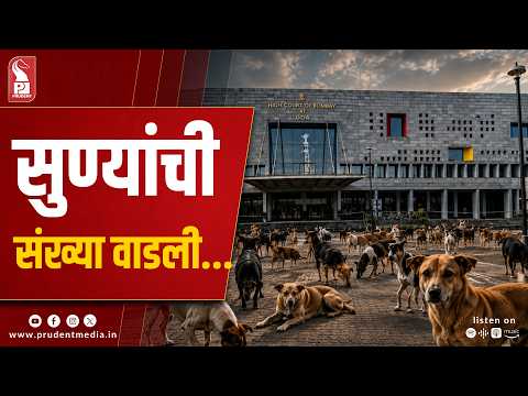 Stray Dog Ratio in Goa Quadruples to 9%: High Court Demands Census Data