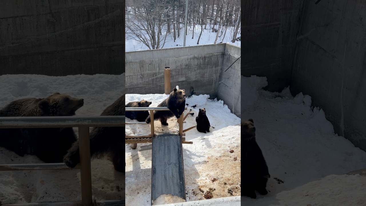 YouTube Short thumbnail