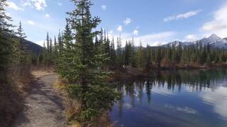 More Forgetmenot Pond, AB.