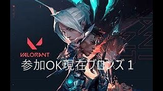 参加募集VAL【アーカイブは残りません】