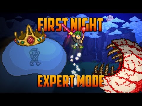 Terraria - Expert King Slime & Eye of Cthulhu on the First Night [Speedrun Challenge]