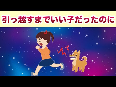 引っ越しが犬に与える影響