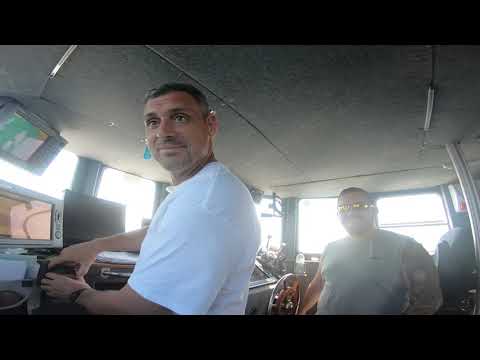 Lauren Whiting- English Channel Swim- 26/08/2019