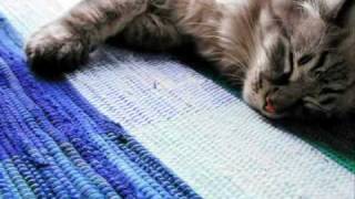 ( Sade -  In Another Time)