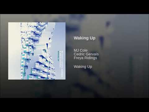 MJ Cole & Cedric Gervais & Freya Ridings - Waking Up