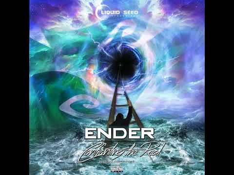 01 Ender - Toward New Forms