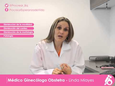 Doctora Linda Procrear