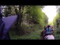 Gallop1