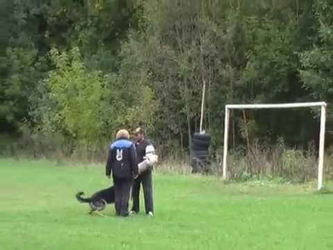 Iron vom Wieratal, IPO1 (C)