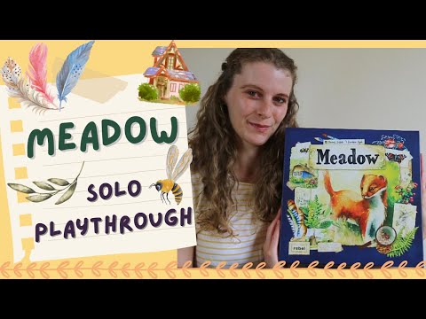 Meadow | Solo playthrough and review! (Campfire variant)