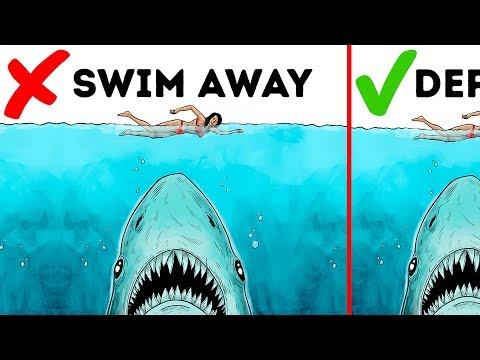 10 Easy Ways to Survive a Wild Animal Attack