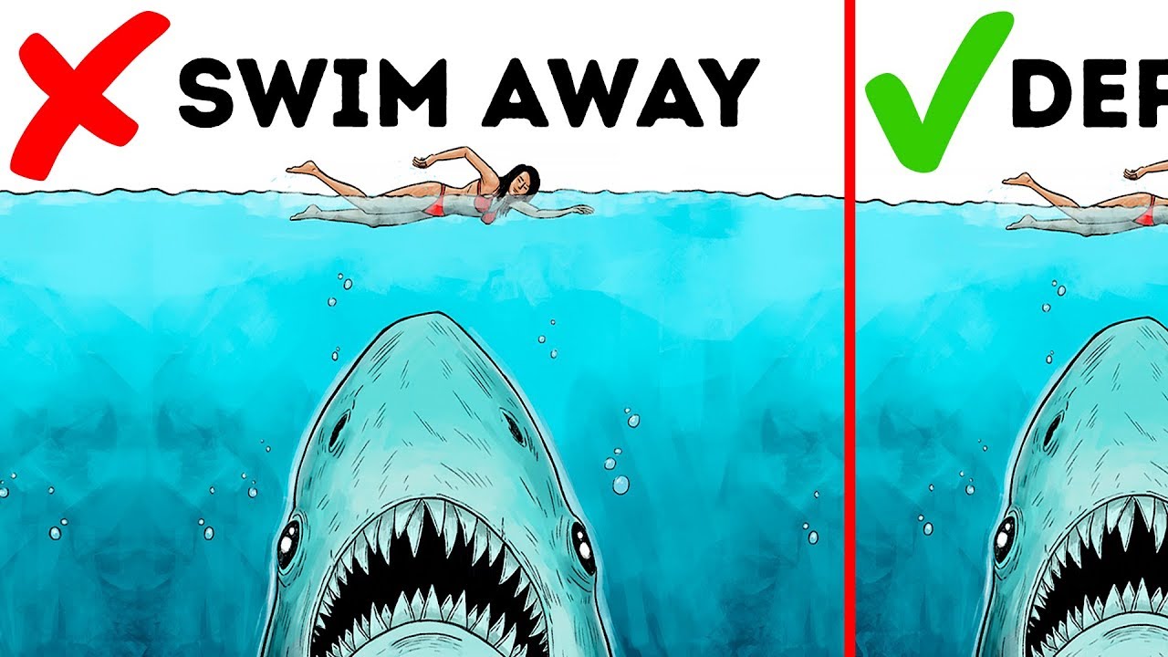 10 Easy Ways to Survive a Wild Animal Attack