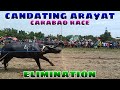 Ep. 56, BUHAY BUKID Candating carabao race elimination.