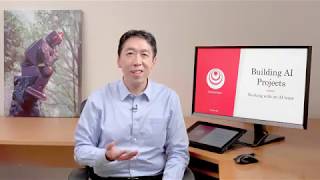 Week 2 - Video 7 - Working with an AI team