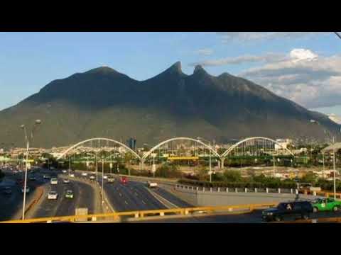 La pollera ripia - Rebajada