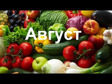 Гороскоп (прогноз) для всех знаков зодиака на АВГУСТ 2016. Гадание на картах таро