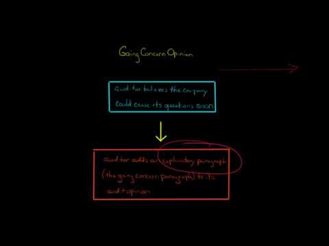 Going Concern Opinion