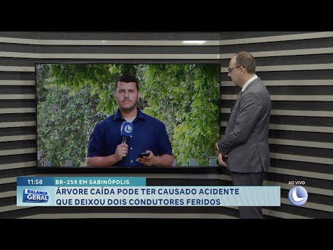 BR-259 em Sabinópolis: árvore caída pode ter causado acidente que deixou dois condutores feridos.