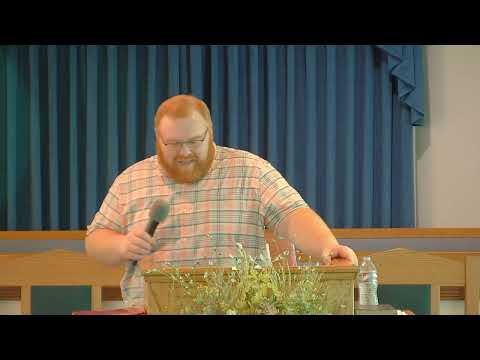 Barzillai, the Man of Iron from Rogelim?