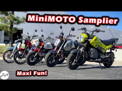 Honda MiniMOTO Buyer's Guide: Grom, Monkey, Navi, Super Cub, Trail 125 Comparison