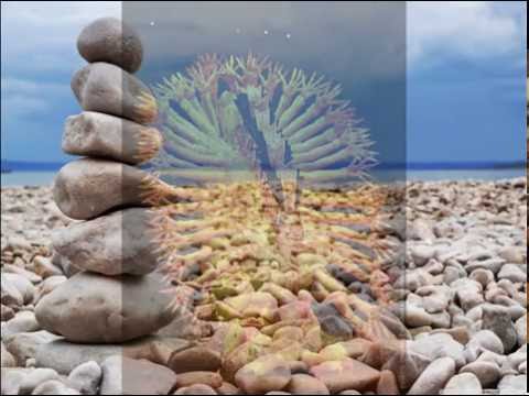 Sống - Lê Minh Đạo