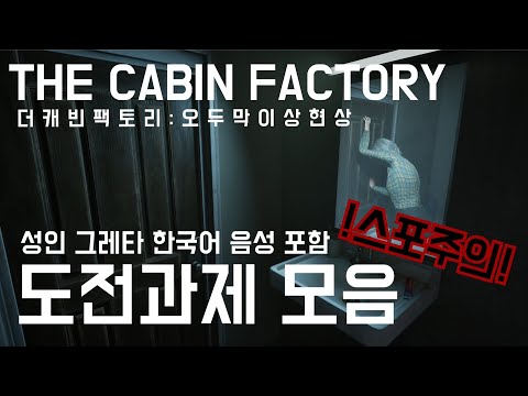 비디오 5