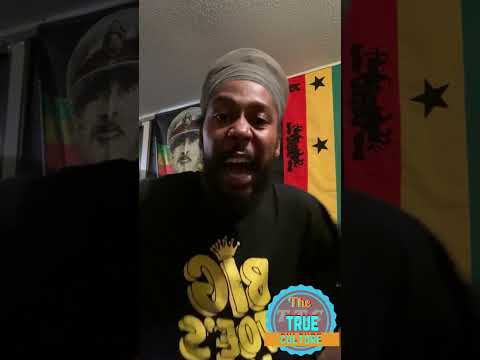 Lion trod giving his feedback on the reggae revival crew part 2