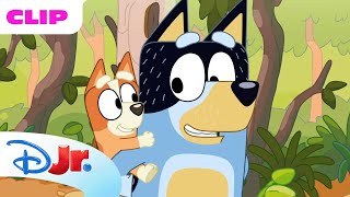 Bluey Season 1 "The Creek" Episode Clip | @disneyjr