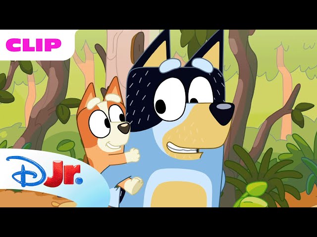 Bluey Season 1 "The Creek" Episode Clip | @disneyjr