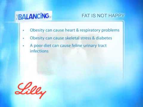 The Balancing Act Show 1162 - Lilly Companion