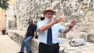 ט״ו אב • נקודת המפנה בגאולת הארץ | הרב יואל אליצור (ישיבת הר הבית) - התמונה מוצגת ישירות מתוך אתר האינטרנט יוטיוב. זכויות היוצרים בתמונה שייכות ליוצרה. קישור קרדיט למקור התוכן נמצא בתוך דף הסרטון