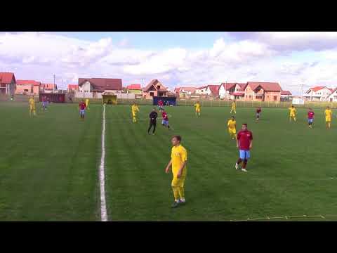 CS GLOGOVĂȚ 2013 - ACS ȘOIMII ȘIMAND 8-1