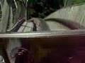 Hawaiian Roller Coaster Ride Jump5